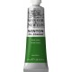 W&N Winton Oil Colour - Terre Verte tube 37ml